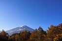 富士スバルラインから富士山を望む
